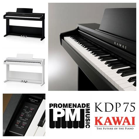 Kawai KDP75 Digital Piano .